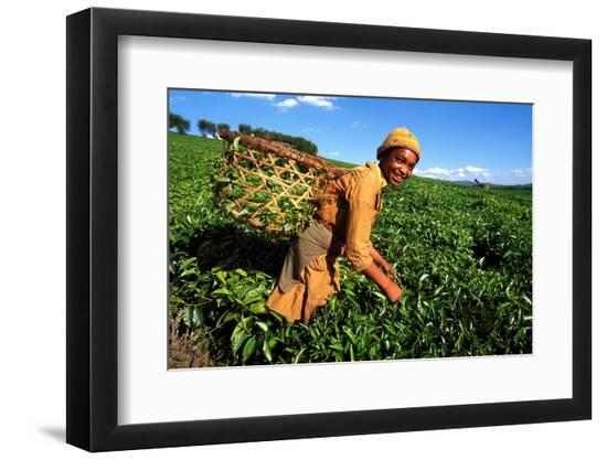 Premium Photographic Print, , large