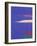 Godrevy and Blue Boat, 1999-John Miller-Framed Giclee Print