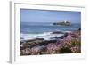 Godrevy Island and Lighthouse from Gwithian Thrift-null-Framed Photographic Print