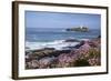 Godrevy Island and Lighthouse from Gwithian Thrift-null-Framed Photographic Print