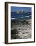 Godrevy Island Lighthouse, Near St. Ives, North Coast, Cornwall, England, United Kingdom-Duncan Maxwell-Framed Photographic Print