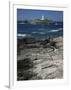 Godrevy Island Lighthouse, Near St. Ives, North Coast, Cornwall, England, United Kingdom-Duncan Maxwell-Framed Photographic Print