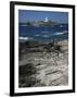 Godrevy Island Lighthouse, Near St. Ives, North Coast, Cornwall, England, United Kingdom-Duncan Maxwell-Framed Photographic Print