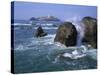 Godrevy Point Lighthouse, Cornwall, England, United Kingdom, Europe-Rainford Roy-Stretched Canvas