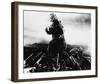 Godzilla, King of the Monsters! (1956)-null-Framed Photo