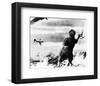 Godzilla, King of the Monsters! (1956)-null-Framed Photo