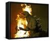 Godzilla: Tokyo S.O.S.-null-Framed Stretched Canvas