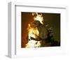 Godzilla: Tokyo S.O.S.-null-Framed Photo