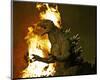 Godzilla: Tokyo S.O.S.-null-Mounted Photo