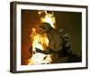 Godzilla: Tokyo S.O.S.-null-Framed Photo