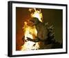 Godzilla: Tokyo S.O.S.-null-Framed Photo