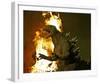 Godzilla: Tokyo S.O.S.-null-Framed Photo