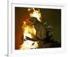 Godzilla: Tokyo S.O.S.-null-Framed Photo