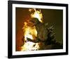 Godzilla: Tokyo S.O.S.-null-Framed Photo