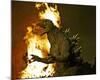 Godzilla: Tokyo S.O.S.-null-Mounted Photo