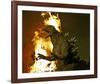 Godzilla: Tokyo S.O.S.-null-Framed Photo