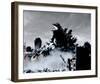 Godzilla: Tokyo S.O.S.-null-Framed Photo