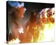 Stretched Canvas