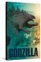 Godzilla vs. Kong - Godzilla-Trends International-Stretched Canvas