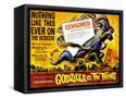 Framed Canvas
