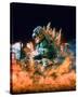 Godzilla-null-Stretched Canvas