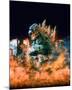 Godzilla-null-Mounted Photo