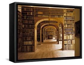 Görlitz, Library, Interior-null-Framed Stretched Canvas