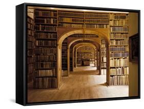 Görlitz, Library, Interior-null-Framed Stretched Canvas