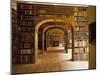 Görlitz, Library, Interior-null-Mounted Photographic Print