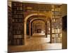 Görlitz, Library, Interior-null-Mounted Photographic Print