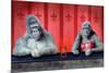 Goin Ape Down at the Monkey Bars-Will Bullas-Mounted Giclee Print