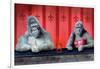 Goin Ape Down at the Monkey Bars-Will Bullas-Framed Premium Giclee Print