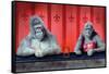 Goin Ape Down at the Monkey Bars-Will Bullas-Framed Stretched Canvas