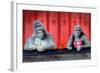 Goin Ape Down at the Monkey Bars-Will Bullas-Framed Giclee Print