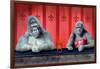 Goin Ape Down at the Monkey Bars-Will Bullas-Framed Giclee Print