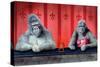 Goin Ape Down at the Monkey Bars-Will Bullas-Stretched Canvas