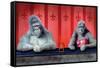 Goin Ape Down at the Monkey Bars-Will Bullas-Framed Stretched Canvas