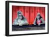 Goin Ape Down at the Monkey Bars-Will Bullas-Framed Premium Giclee Print