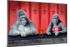 Goin Ape Down at the Monkey Bars-Will Bullas-Mounted Premium Giclee Print