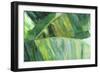 Goin' Bananas II-Suzanne Wilkins-Framed Art Print