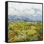 Going 120-Allan Friedlander-Framed Stretched Canvas