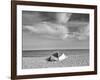 Going Fishing-Doug Chinnery-Framed Photographic Print