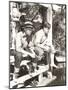 Wood Mount
