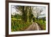 Going Home-Mark Gemmell-Framed Photographic Print