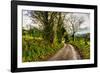 Going Home-Mark Gemmell-Framed Photographic Print