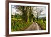 Going Home-Mark Gemmell-Framed Photographic Print