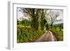 Going Home-Mark Gemmell-Framed Photographic Print