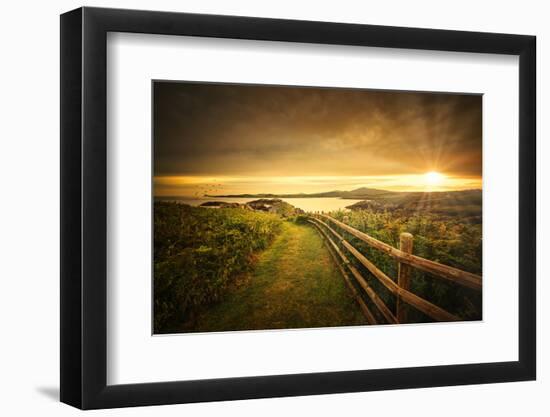 Going in the Right Direction-Philippe Sainte-Laudy-Framed Photographic Print
