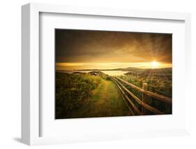 Going in the Right Direction-Philippe Sainte-Laudy-Framed Photographic Print