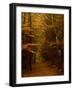 Going My Way V-Doug Chinnery-Framed Photographic Print